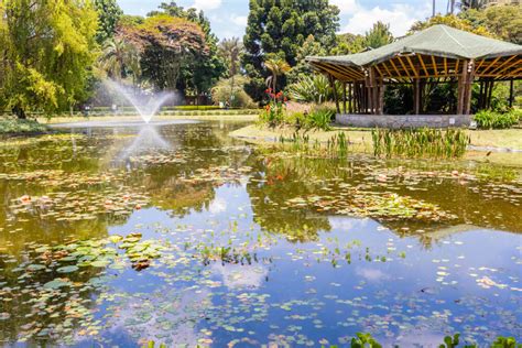 Los Mejores Jardines Nicos Del Mundo Mi Viaje