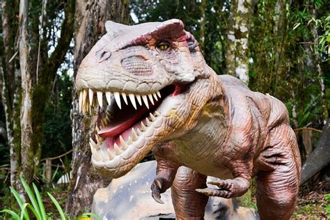 Dinosaurus Robotti Ilmainen Valokuva Pixabayssa Pixabay