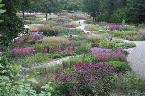 A Garden Filled With Lots Of Different Types Of Flowers And Plants Next