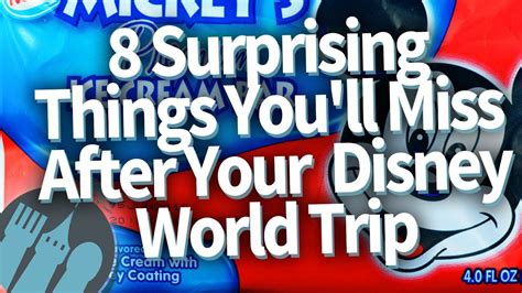 8 Things You Never Knew Youd Miss After Your Disney World Trip Youtube