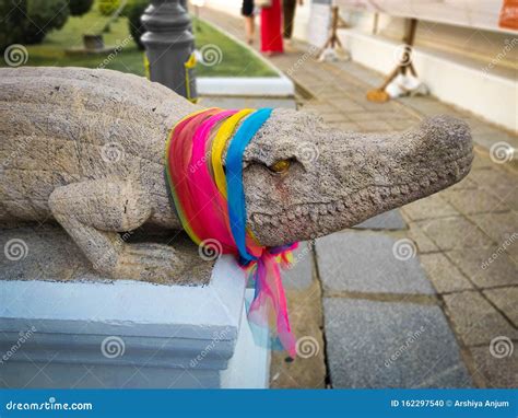 Crocodile Sculpture Royalty Free Stock Photography