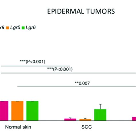 Lgr And Sox Are Downregulated In Epidermal Tumours Compared With