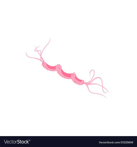 Bacterial flagellum microscopic germ Royalty Free Vector