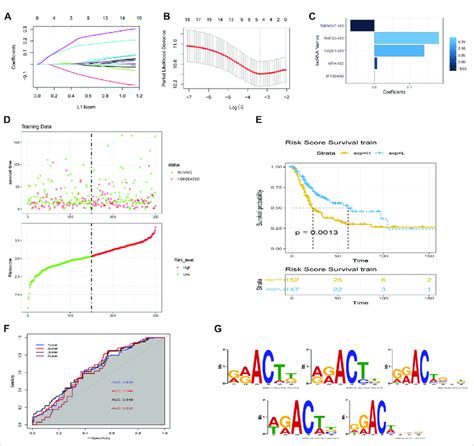 Construction Of The M6a Lncrna Associated Prognostic Risk Scores Rss