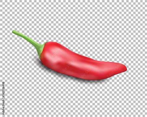 Red Hot Natural Chili Pepper Pod Realistic Image With Shadow Vector Illustration Stock Vector