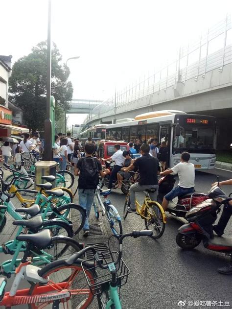 3000㎡單車「墳場」現身成都，無處安放的共享單車何去何從？ 每日頭條