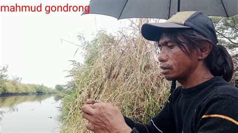 Mbolang Mancing Sport Jos Di Sungai Kali Pp Target Ikan Keting Atau Hiu