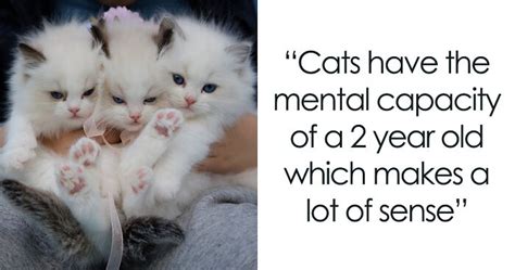 28 People Share The Weirdest Animal Facts They Know | Bored Panda