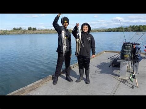 Shadow Cliffs Fishing For Trout YouTube