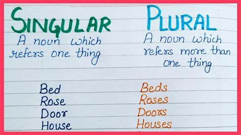 Singular Plural Learn 50 Singular Plural To Expand Your Vocabulary Youtube