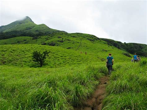 Trekking in Munnar | Treks, Routes, Best Time