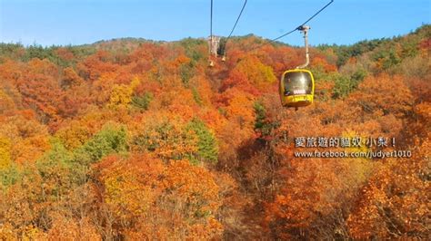 2017‧11月首爾大邱釜山自由行 愛旅遊的貓奴‧小梨