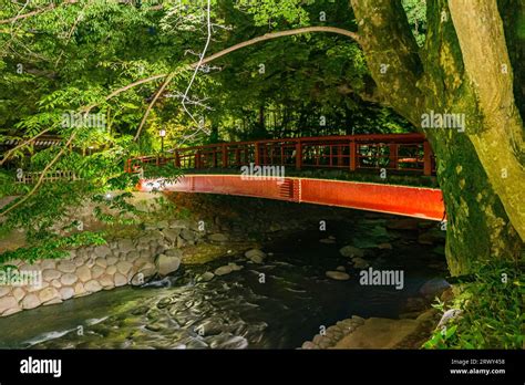 Shuzenji Onsen Shuzenji Hot Spring Lighted Fresh Greenery In Spring And Katsura Bridge View