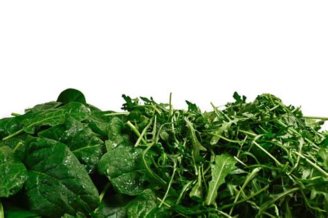 Daun Segar Arugula Dan Bayam Sebagai Latar Belakang Foto Stok Unduh