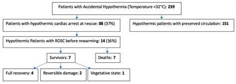 Ijerph Free Full Text Successful Pre Rewarming Resuscitation After