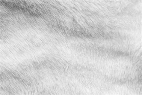 White fur fabric texture background 38003963 Stock Photo at Vecteezy