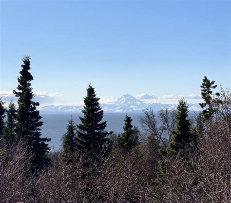 Some Cook Inlet, today : alaska