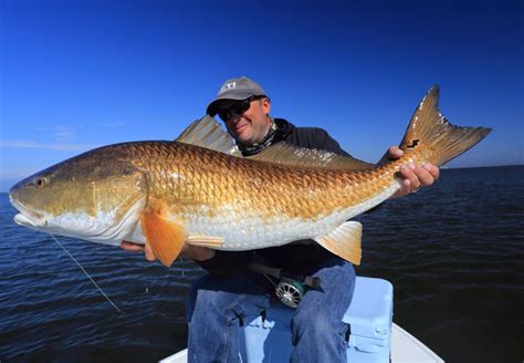 Louisiana Redfish Fishing Irwin1 Adventure South