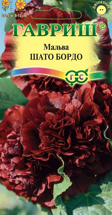 ЦВЕТЫ МНОГОЛЕТНИЕ — Семена для Сибири