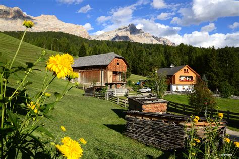 Agriturismo Val Badia Appartamenti Affitto Maso