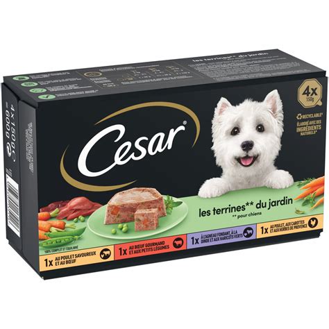 Cesar Les Terrines Du Jardin Pour Chien Adulte X G