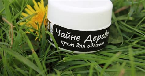 Крем для лица ЧистоТел "Чайное дерево" - отзыв.