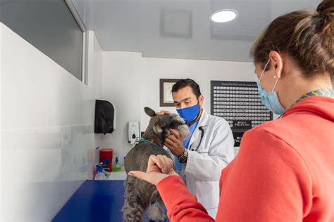 Consulta Veterinaria Ottovet Bogotá