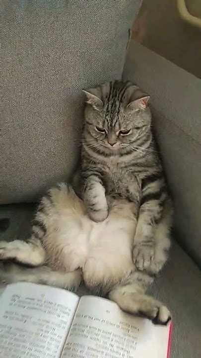 заучка😻 - YouTube