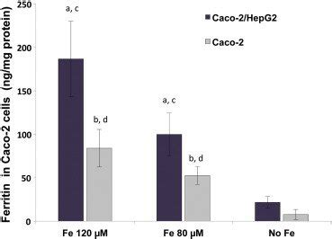 Ferritin levels in cocultured and monocultured Caco-2 cells. The Caco-2 ... 