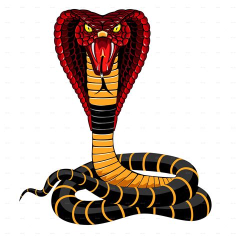 Detail 3d King Cobra Snake Wallpaper Koleksi Nomer 7