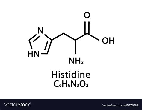 Histidine Structure