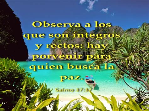 Biblia paisajes y maravillas Salmo 37 37 Salmos Biblia Versículos