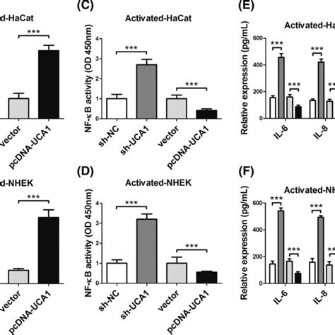 LncRNA UCA1 negatively regulates NFκB activity in psoriatic