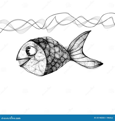 Hand Drawn Fish Stock Vector Illustration Of Horse Fish 35148283