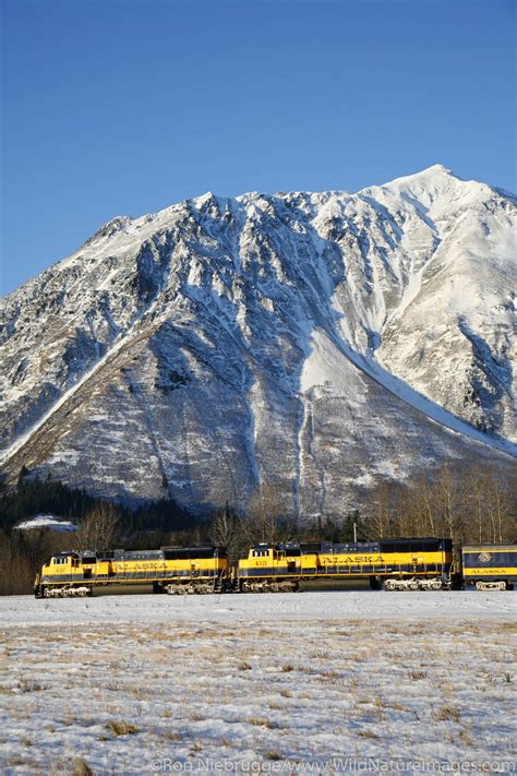 Alaska Railroad Photos By Ron Niebrugge