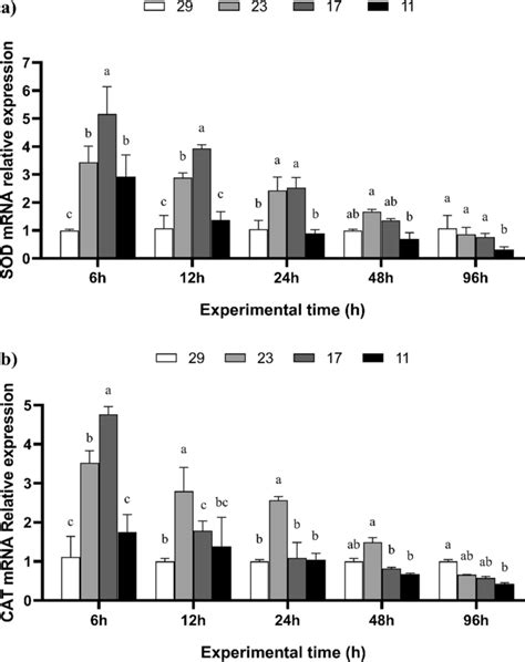 The Expression Of Genes Involved In Nrf2 Keap1 Signaling In The