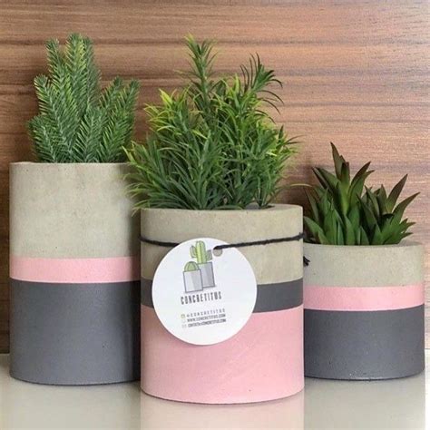 Bom dia Quem aí gosta de plantinhas No DIY de hj trouxe esses