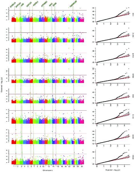 Results Of The Genome Wide Association Studies The Strengths Of