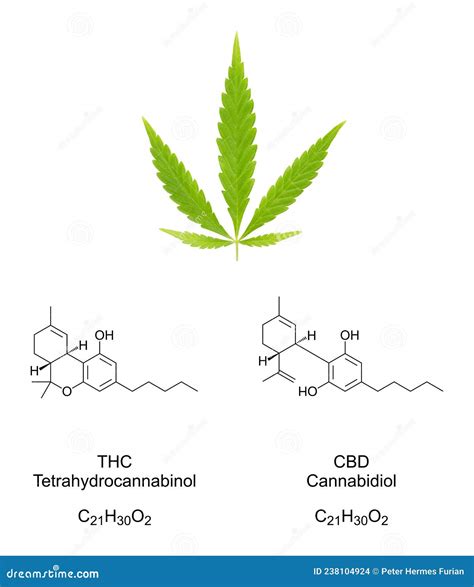 Cannabis Fan Leaf With Chemical Formulas Of Cannabinoids Thc And Cbd