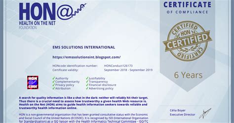 Ems Solutions International By Drramonreyesmd Marca Registrada