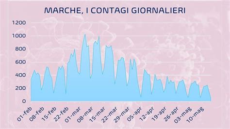 Coronavirus I Dati Del Maggio Nelle Marche Bollettino Covid Oggi