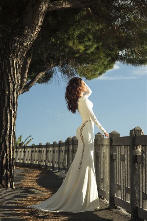 Elegant Brunette Beauty Posing Stock Photo Image Of Attractive Glamour