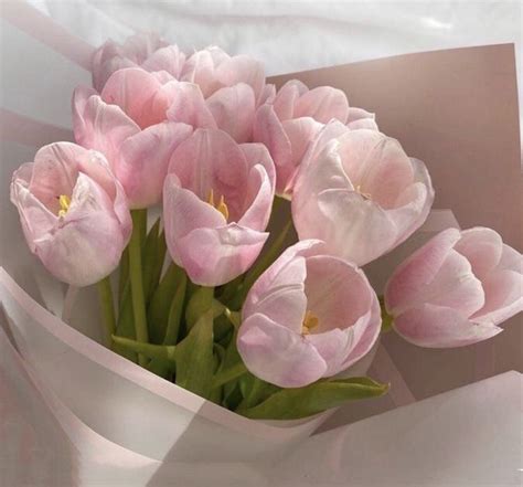 A Bouquet Of Pink Tulips In A White Vase