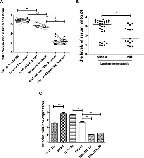 Figure 1 From Microrna 224 Inhibits Proliferation And Migration Of