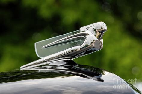 1940 Cadillac Hood Ornament Photograph By Dennis Hedberg Fine Art America