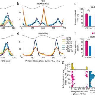 Phase Locking Of Ca Pyramidal Cell Spikes By Slow Oscillations Is