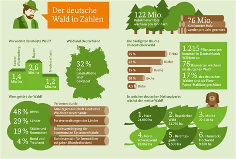 Modul Der Bunte Wald