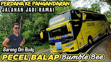 BUS PECEL BALAP BUMBLEBEE TELOLET BASURI MODUL DAV BUSMANIA PANGANDARAN