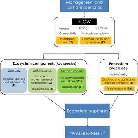 Conceptual diagram of how river ecosystems are affected by the key ...