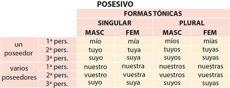 Posesivos Los Pronombres Concepto Y Clasificación